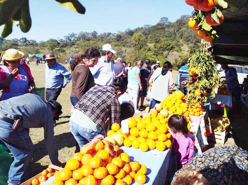 Tarija: Invitan a la Feria de los Cítricos en Bermejo este 22 de junio