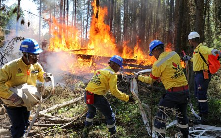 Más de 1.100 bomberos combaten contra el fuego en 15 municipios de Santa Cruz, Beni y La Paz