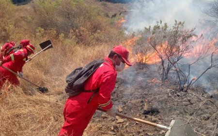 Una víctima fatal tras incendio en La Victoria