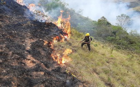 Activan 330 procesos administrativos por quemas ilegales y tambien 94 acciones penales por incendios forestales