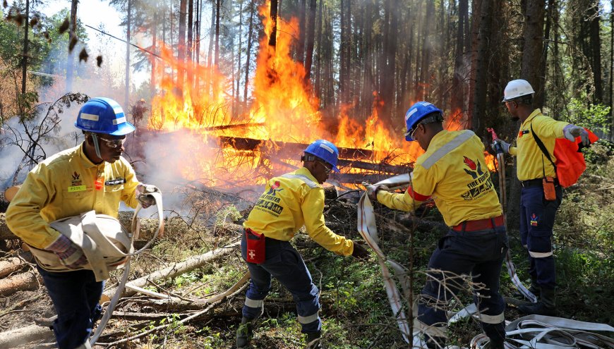 Más de 1.100 bomberos combaten contra el fuego en 15 municipios de Santa Cruz, Beni y La Paz