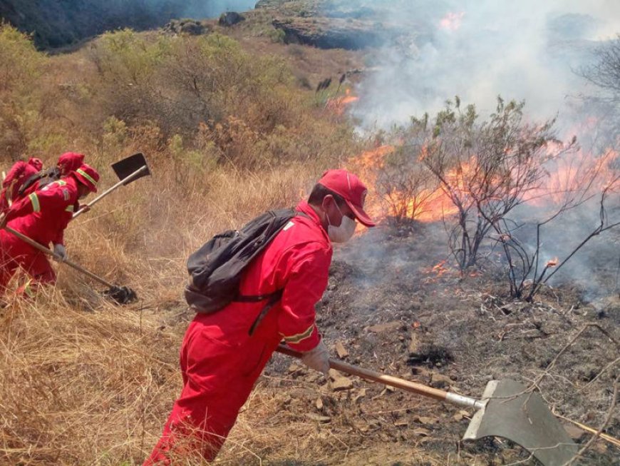 Una víctima fatal tras incendio en La Victoria