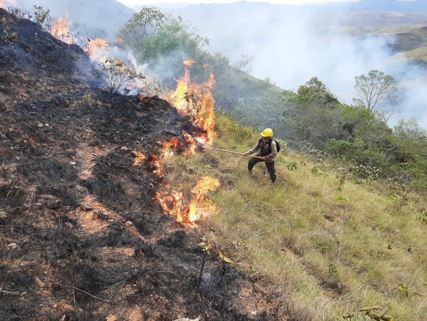 Activan 330 procesos administrativos por quemas ilegales y tambien 94 acciones penales por incendios forestales