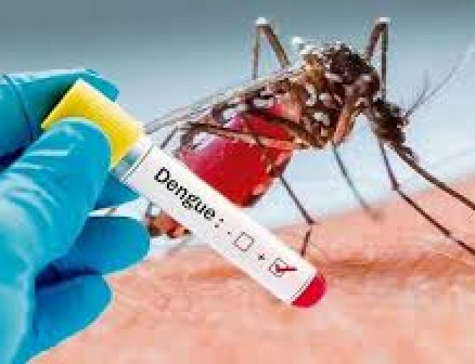 CUIDADO CON LA ENFERMEDAD DEL DENGUE#TarijaparaSiempre#JohnnyTorresTerzo#AlcaldiadeTarija