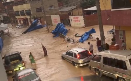 Rebasa embovedado de la víbora negra