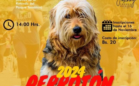 Perroton 2024