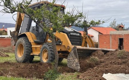 Cuidado de las áreas verdes en Tarija