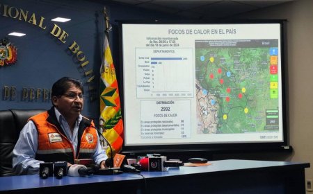 Defensa Civil confirman que Bolivia está libre de incendios, cuantificarán las hectáreas afectadas
