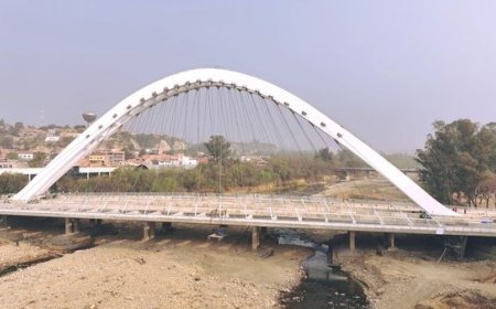 El Concejal Ervin Mancilla llamó “sinvergüenzas” a Valmore Donoso y Rodrigo Paz