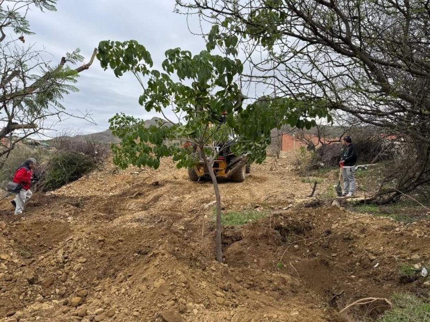 Cuidado de las áreas verdes en Tarija