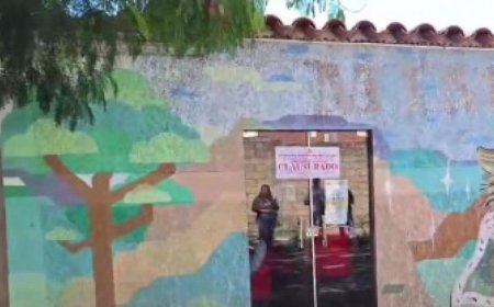 Clausuran peluquería canina 'Mimados'