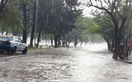 Alerta Naranja: Senamhi anuncian intensas lluvias con tormentas eléctricas en Tarija y otras 6 regiones