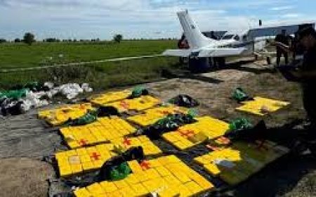 Hallan en Argentina avioneta con 358 kilos de cocaína que provenía de Bolivia