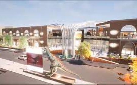 Municipio de Cercado revoca contrato a la empresa AECOMIT del Centro Colosal Andalucía