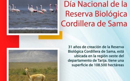 Celebramos el aniversario de la Reserva Biológica Cordillera de Sama 