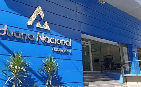 La Aduana Nacional subastará al menos 800 toneladas de mercancías por vía electrónica
