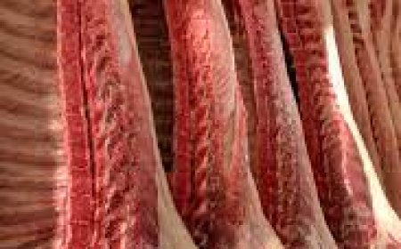 Gobierno mantendrá la suspensión indefinida en la otorgación de certificados para la exportación de carne de res