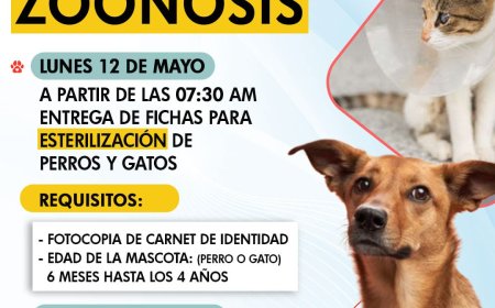 ¡CUIDAMOS A TUS MASCOTAS!