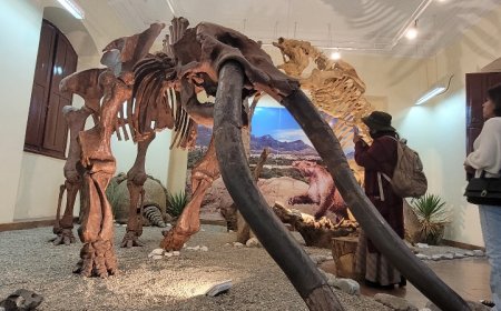 Alcaldia inicia la semana de Museos con diferentes actividades para promover el arte y la cultura