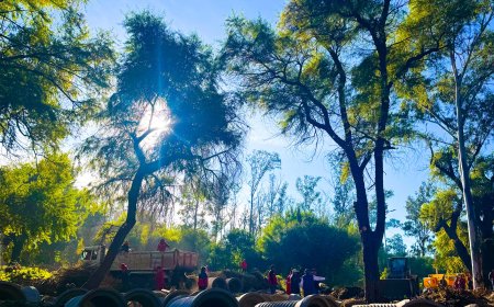 Alcaldía pone en marcha la primera fase para habilitación del Parque Paleontológico