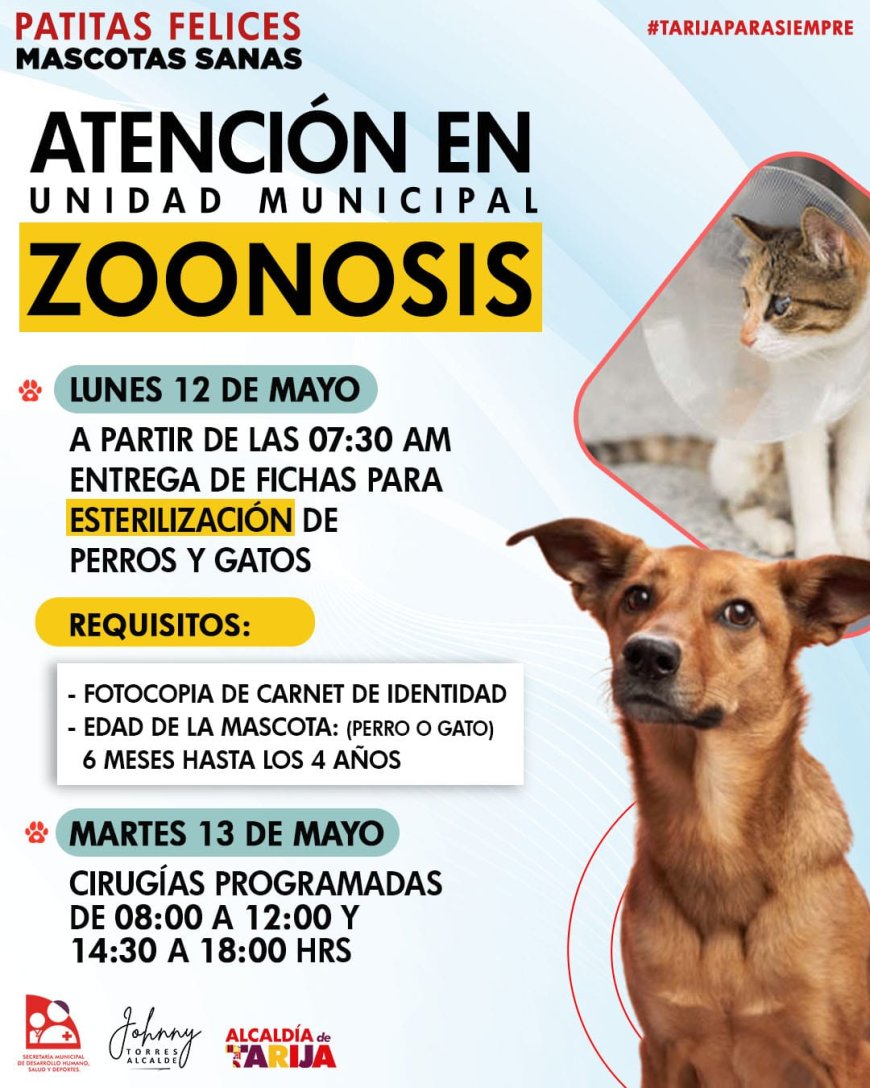 ¡CUIDAMOS A TUS MASCOTAS!