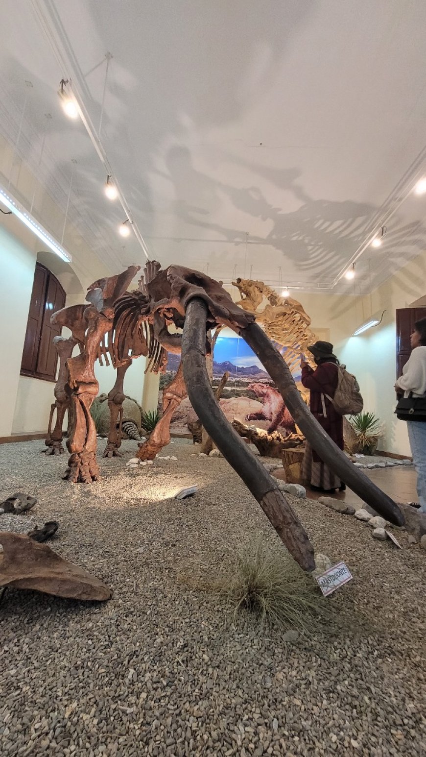 Alcaldia inicia la semana de Museos con diferentes actividades para promover el arte y la cultura