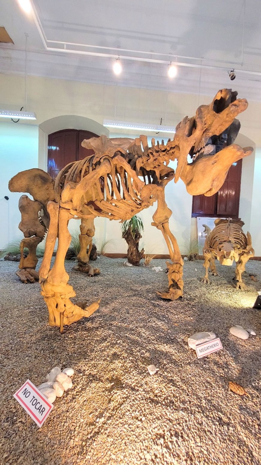 Alcaldia inicia la semana de Museos con diferentes actividades para promover el arte y la cultura