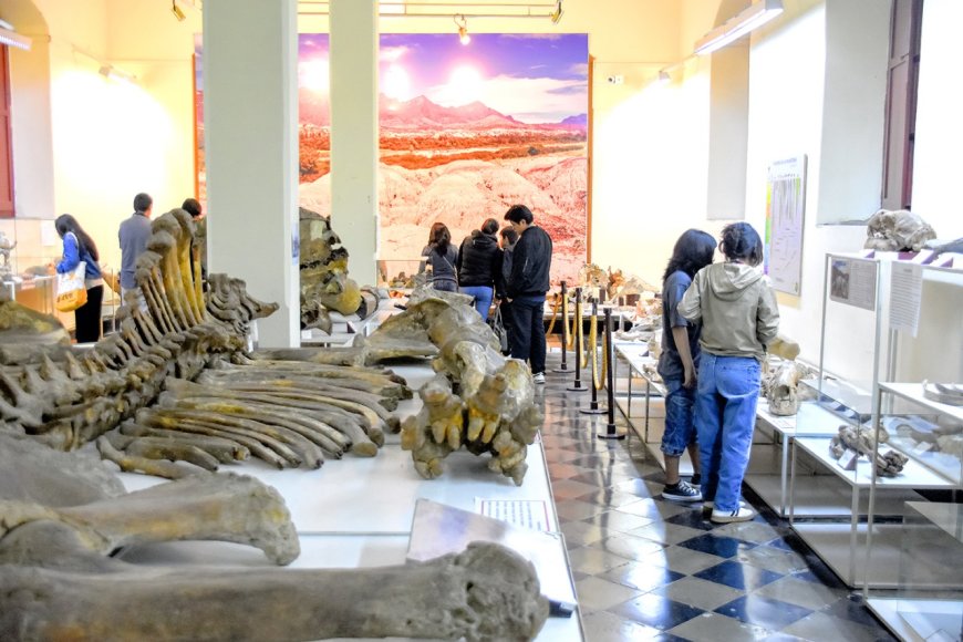 Alcaldia inicia la semana de Museos con diferentes actividades para promover el arte y la cultura