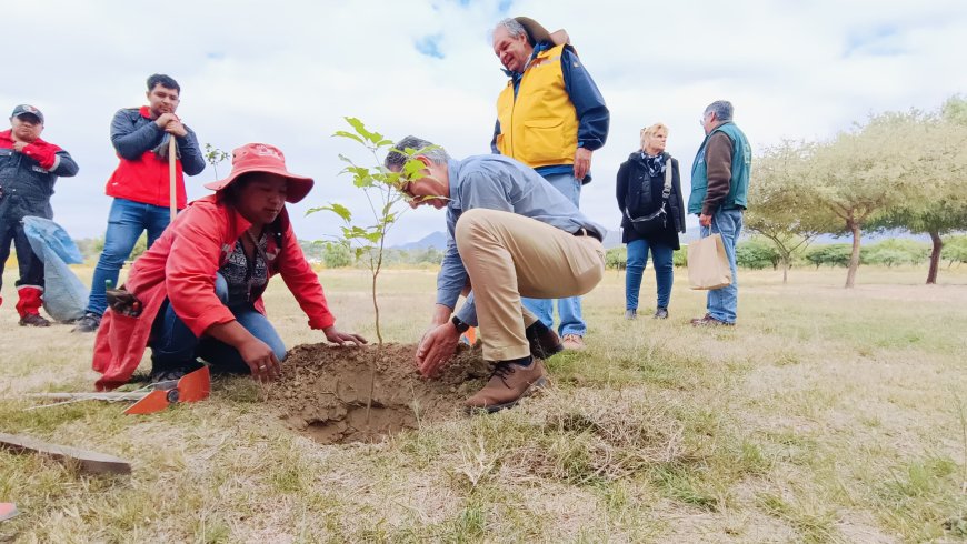 Alcaldía de Tarija  promueve la arborización en diferentes zonas de la ciudad
