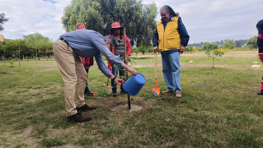 Alcaldía de Tarija  promueve la arborización en diferentes zonas de la ciudad