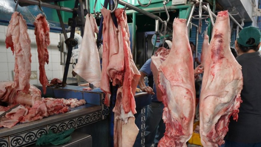Decomisan más de 100 mil kilos de carnes de cordero, res y cerdo que iba al contrabando en regiones fronterizas