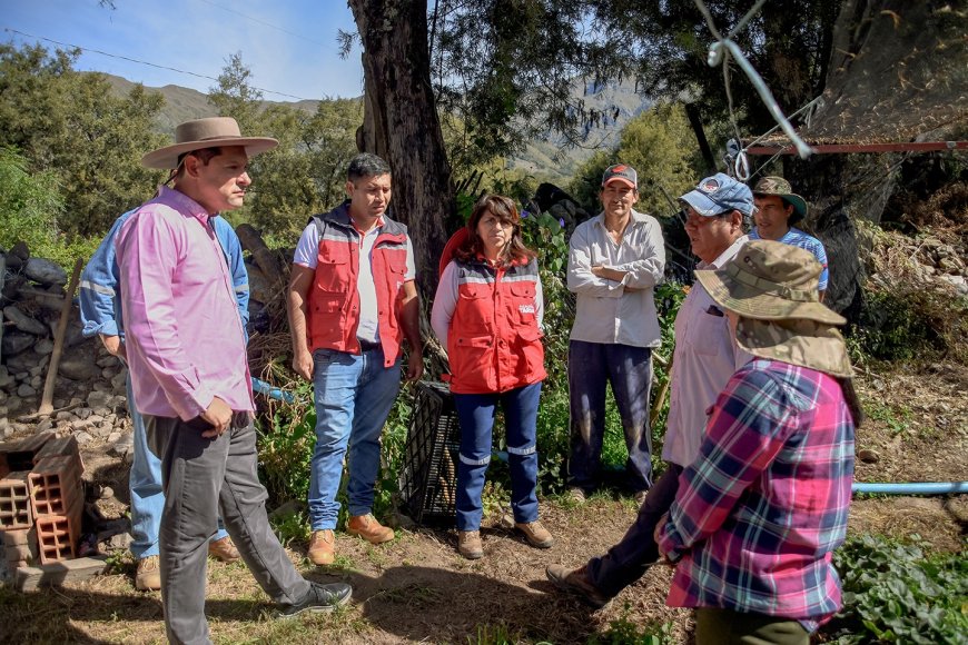 Familias del campo se apoyan en la producción de frutilla para subsistir  ante la crisis económica