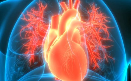 Un nuevo fármaco para la obesidad reduce infartos y muertes cardiovasculares en pacientes de alto riesgo