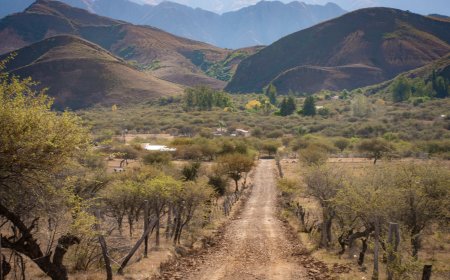 Alcaldía de Tarija cumple con la apertura y mantenimiento de caminos en el área rural