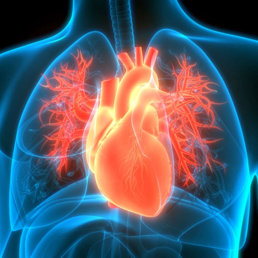 Un nuevo fármaco para la obesidad reduce infartos y muertes cardiovasculares en pacientes de alto riesgo