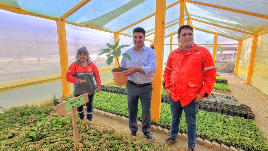 Alcaldía pone en marcha el plan Tarija Verde Para Siempre