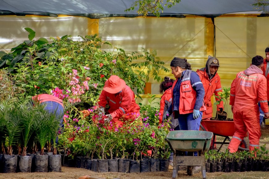Alcaldía pone en marcha el plan Tarija Verde Para Siempre