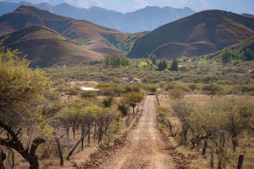 Alcaldía de Tarija cumple con la apertura y mantenimiento de caminos en el área rural