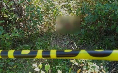 HALLAN SIN VIDA A LA PEQUEÑA KIARA