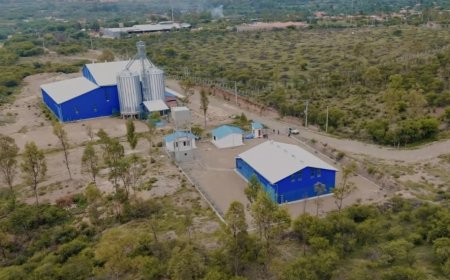 Planta de alimentos balanceados de San Lorenzo fortalecerá la producción