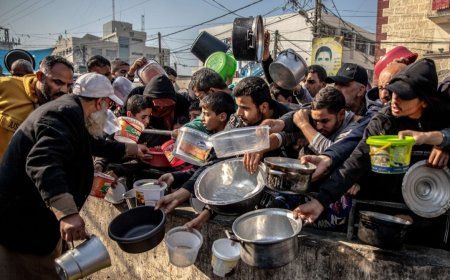 Más de 100 organizaciones humanitarias alertaron sobre una catástrofe alimentaria en Gaza