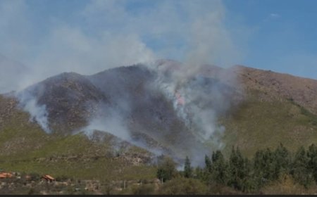 Incendio en el Rincon de la Victoria