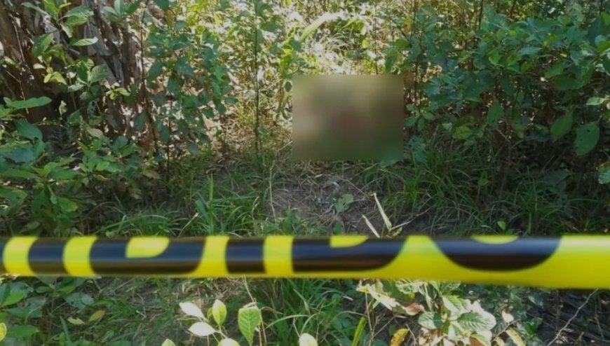 HALLAN SIN VIDA A LA PEQUEÑA KIARA