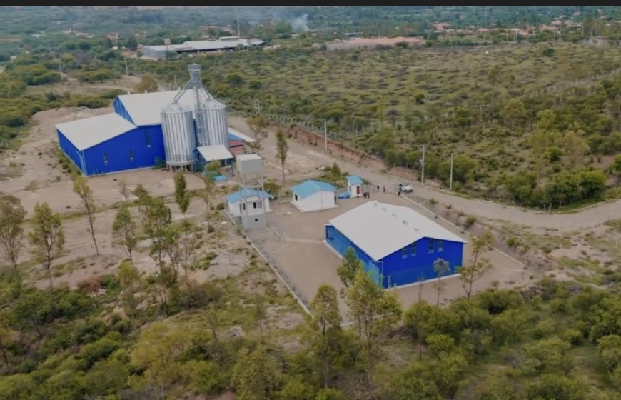 Planta de alimentos balanceados de San Lorenzo fortalecerá la producción