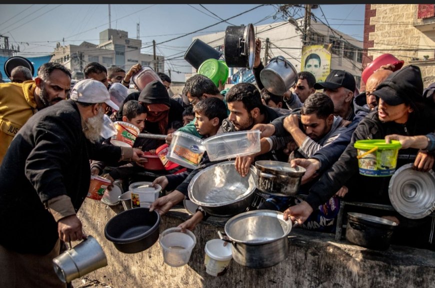 Más de 100 organizaciones humanitarias alertaron sobre una catástrofe alimentaria en Gaza