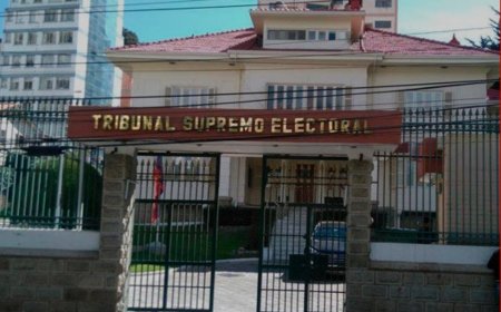 Tribunal Supremo Electoral informo sobre ocho prohibiciones para las elecciones que se realizaran este domingo