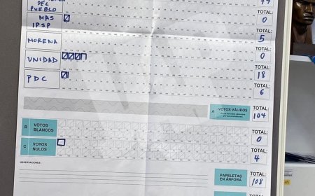 Resultados según Actas de votación en el país Japón