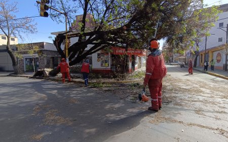 Alcaldía de Tarija moviliza a  más de 300 trabajadores para atender las zonas afectadas por el viento
