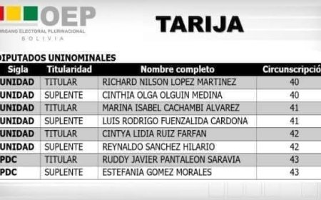 TRIBUNAL SUPREMO ELECTORAL PUBLICO LISTA DE LAS NUEVAS AUTORIDADES LEGISLATIVAS