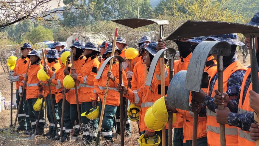 Estamos luchando contra el fuego 